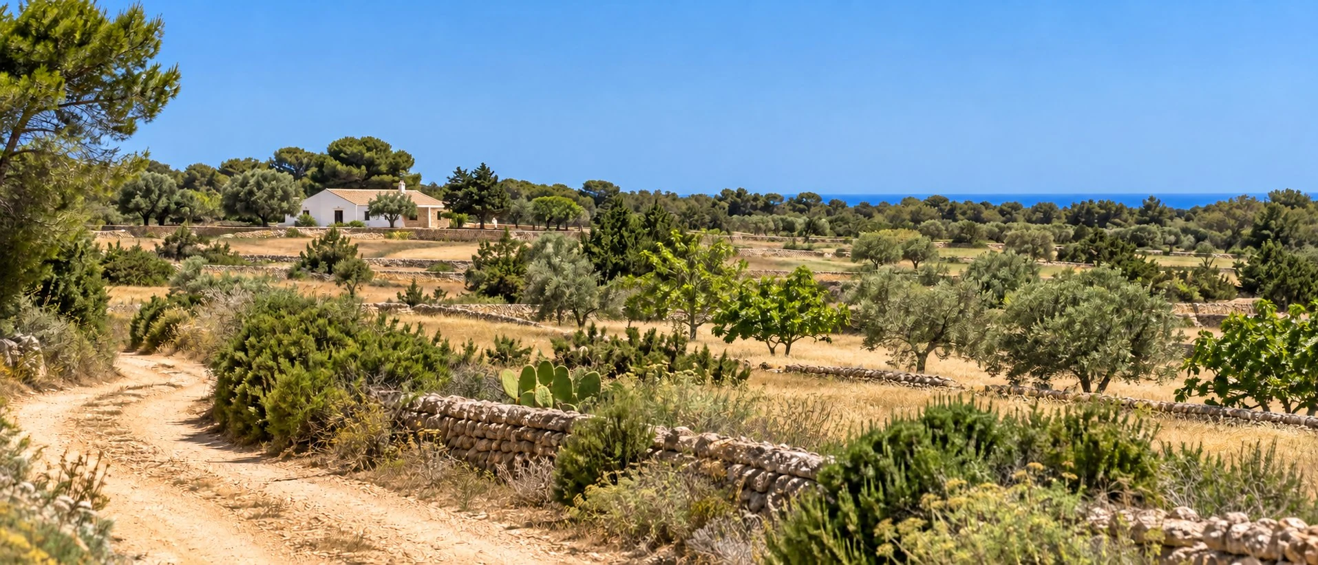 Paisaje rural ilustrativo de Formentera con una casa tradicional a la izquierda y el mar distante